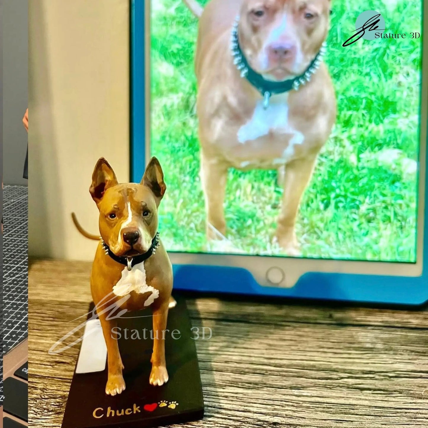 Pet Miniature - STATURE 3D